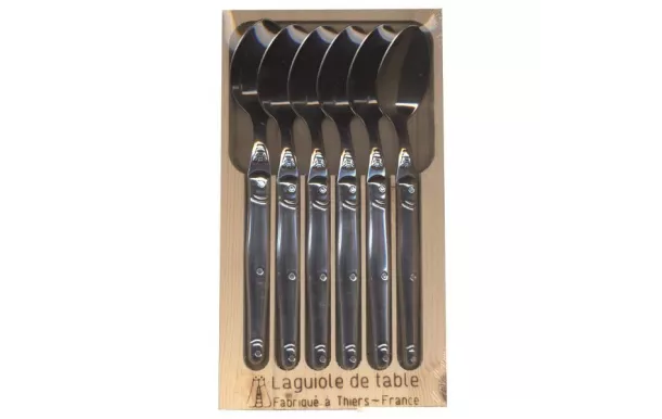 JEAN DUBOST COFFRET 6 CUILLERES TABLE LAGUIOLE INO L0060251L06018