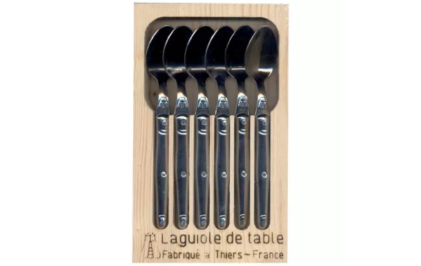 JEAN DUBOST COFFRET 6 CUILLERES CAFE LAGUIOLE INOX L0060301L06018