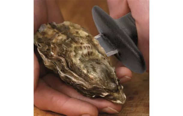 CMP SERVICE A HUITRE PLATEAU+SUPPORT+CTX KU6102