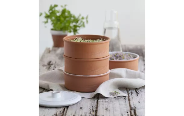 POINT VIRGULE GERMOIR A ETAGES TERRE CUITE 21x17 C PV-KIT-0710