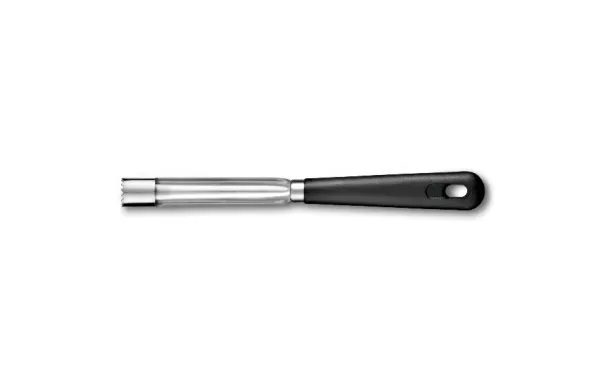 ROUSSELON DUMAS SABATIER VIDE POMME M/NOIR DUMAS 015300