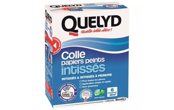 QUELYD QUELYD COLLE PAPIER INTISSE 300G 30611771