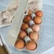 KOZIOL EGGS TO GO BOITE 10 ŒUFS BEIGE 7179700