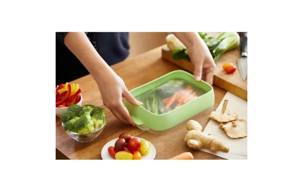 LEKUE PLATEAU DE CONSERVATION SET/2 REUTILISABLE C 3421002V12M017