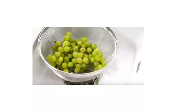 TESCOMA PANIER PASSOIRE ø 20 CM "GRANDCHEF" 428530