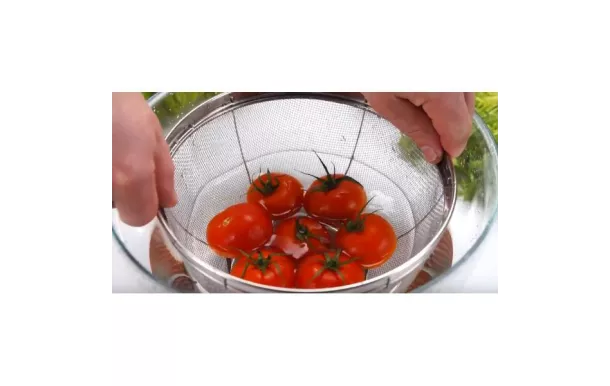 TESCOMA PANIER PASSOIRE ø 20 CM "GRANDCHEF" 428530