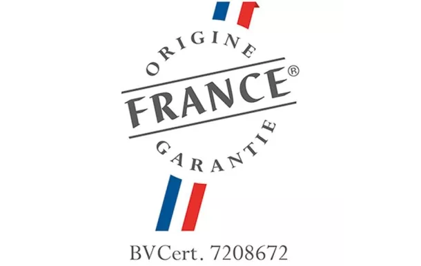 INVICTA Poêle à bois vintage Carolo 8 Kw - P916244