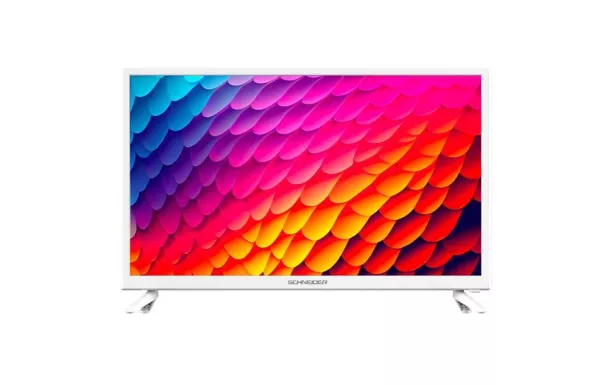 SCHNEIDER Téléviseur 60 cm HD - GMS24N100W