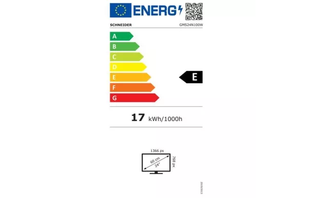 SCHNEIDER Téléviseur 60 cm HD - GMS24N100W