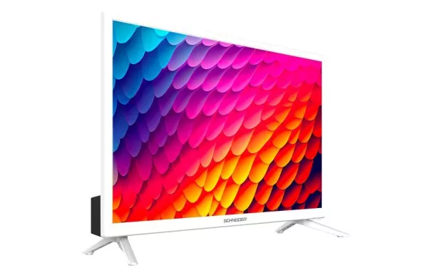 SCHNEIDER Téléviseur 60 cm HD - GMS24N100W