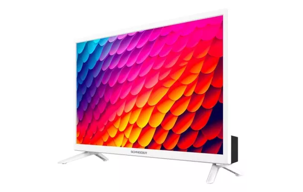 SCHNEIDER Téléviseur 60 cm HD - GMS24N100W
