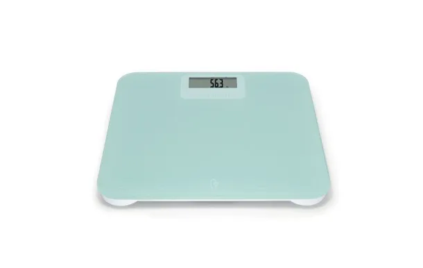 TERRAILLON PESE-PERSONNE POWER FREE 15389 LCD PLAT POWERFREE