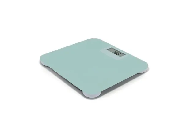 TERRAILLON PESE-PERSONNE POWER FREE 15389 LCD PLAT POWERFREE