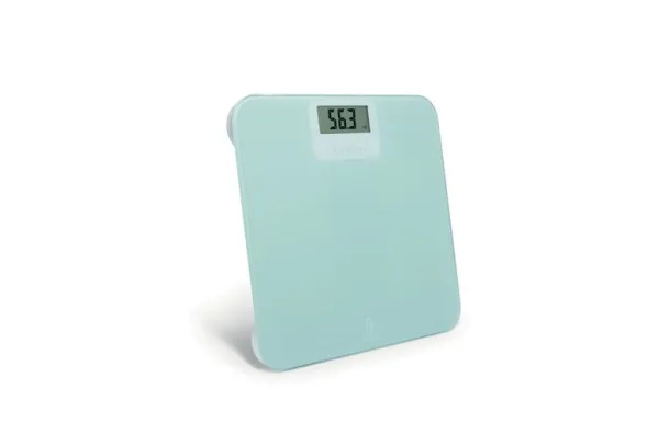 TERRAILLON PESE-PERSONNE POWER FREE 15389 LCD PLAT POWERFREE