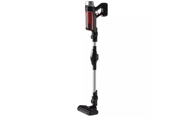 ROWENTA Aspirateur balai sans fil X-Force Flex 9.60 modèle animal - YY5466FE