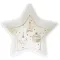 EASY LIFE CHRISTMAS LIGHT COFFRET BOL ETOILE 15 X  1323CHLI