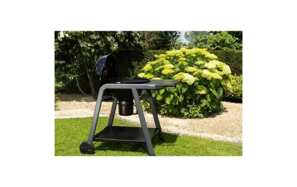 COOK IN GARDEN Barbecue Charbon - CH062T