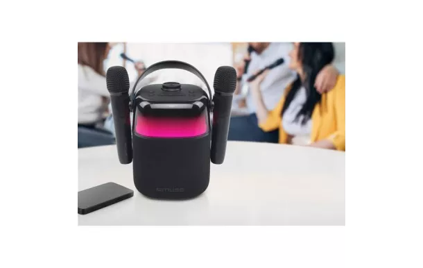 MUSE Enceinte Bluetooth  - M530KA