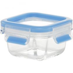 EMSA Boîte carrée 0,22 L - Clip & Close Verre