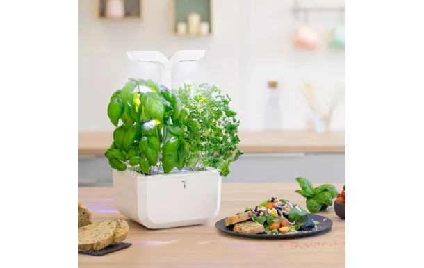 VERITABLE - POTAGER D'INTERIEUR EXKY CLASSIC