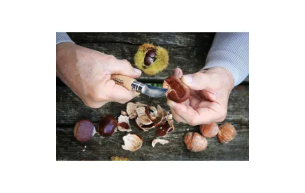 OPINEL COUTEAU CHATAIGNE ET AIL N°7 002360