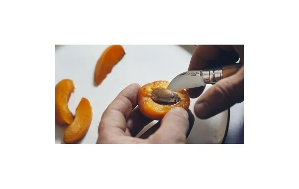 OPINEL COUTEAU CHATAIGNE ET AIL N°7 002360