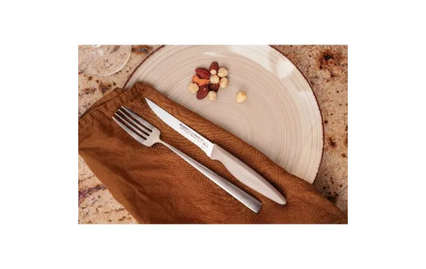 NOGENT Couteau steak 11 cm lame crantée 3mm couleu 93969B