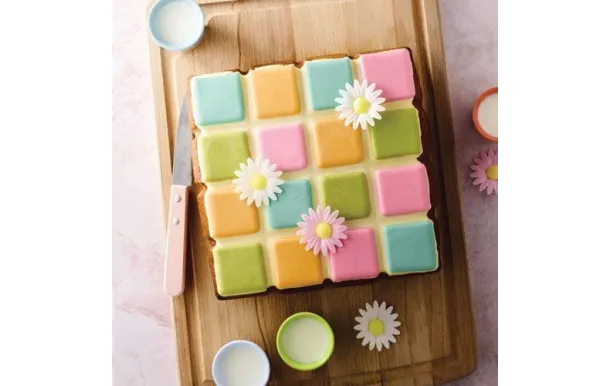 FLEXIPAN MOULE TABLETTE EN SILICONE 24 X 24 X 4 CM ES-FM-00497-BA