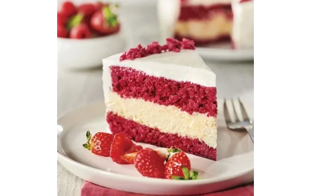 FLEXIPAN MOULE ROND 25 CM EN SILICONE ES-FX-00328-BA