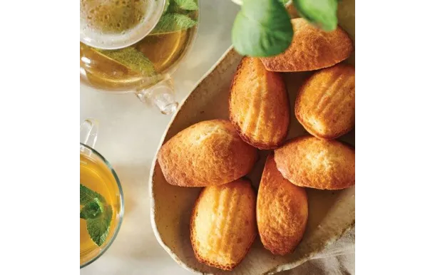 FLEXIPAN MOULE 20 MADELEINES EN SILICONE 37 X 30 C EI-FP-02511-BA