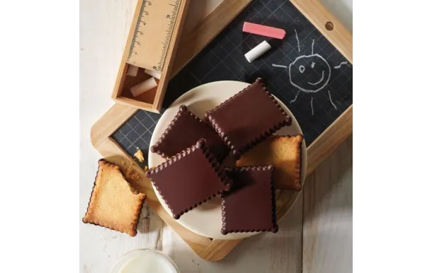 FLEXIPAN MOULE 12 PETITS BEURRES  31 X 28 CM EI-FX-02114-BA