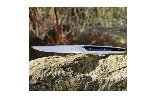 AMEFA EMPEROR COFFRET MAGNET 4 COUTEAUX STEAK 2540AAMB02BR4