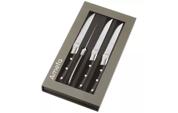 AMEFA ACHILLE COFFRET 4 COUTEAUX STEAK ABS NOIR 2550A1MB02BR4