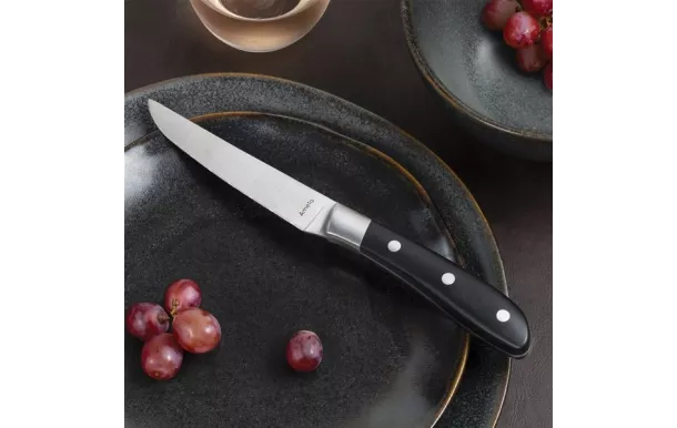 AMEFA ACHILLE COFFRET 4 COUTEAUX STEAK ABS NOIR 2550A1MB02BR4