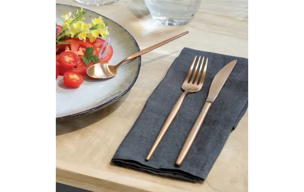 AMEFA SOPRANO MENAGERE 24P COMPACT CUIVRE 1114AEAF11C40