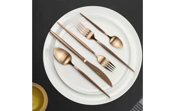 AMEFA SOPRANO MENAGERE 24P COMPACT CUIVRE 1114AEAF11C40