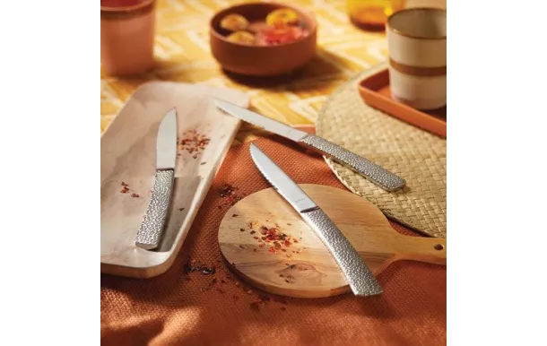 AMEFA BONGO XL COFFRET MAGNET 6 COUTEAUX STEAK 246523MB02SK9