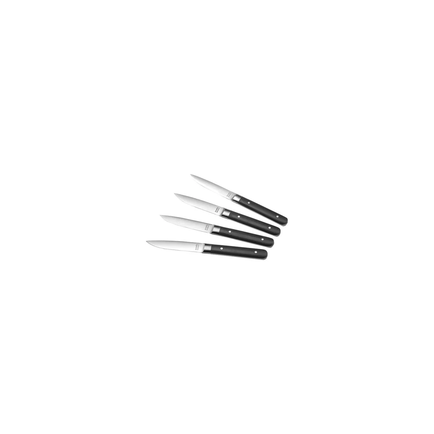 Amefa FUSION C MAGNET 4 COUTEAUX STEAK 4918AAMB02BR4