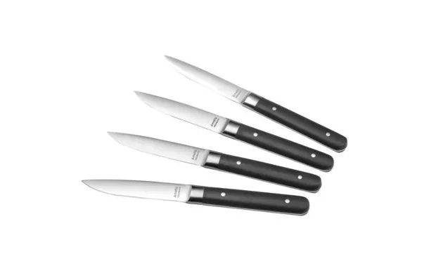 AMEFA FUSION COFFRET MAGNET 4 COUTEAUX STEAK 4918AAMB02BR4