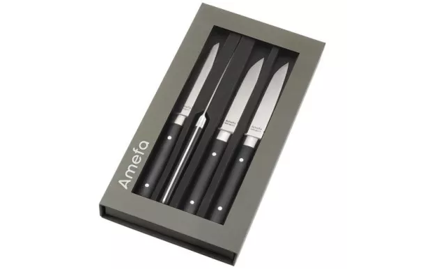 AMEFA FUSION COFFRET MAGNET 4 COUTEAUX STEAK 4918AAMB02BR4
