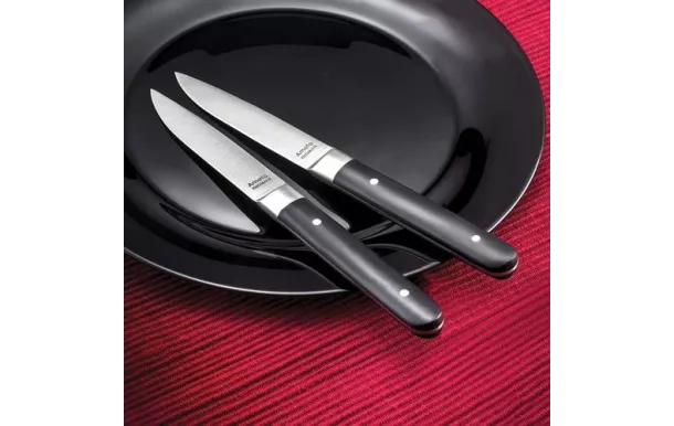 AMEFA FUSION COFFRET MAGNET 4 COUTEAUX STEAK 4918AAMB02BR4