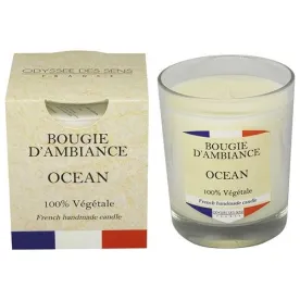 ODYSSEE DES SENS BOUGIE FRANCE 180G OCEAN BVFR180-OCEAN