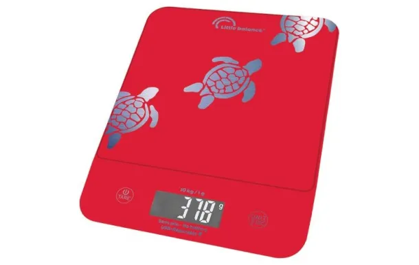 LITTLE BALANCE BALANCE HAPPY GENIUS USB-R 10KG 1G  8709