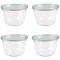 WECK BOCAL DE CONSERVATION 370ML SET 4 55896W