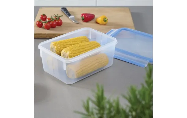 TEFAL MASTERSEAL FRESH BOITE RECTANGULAIRE 2,2 L K3021512