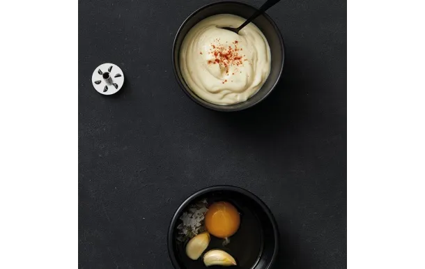 BAMIX DISQUE MELANGEUR MIXEUR BAMIX MX3000003