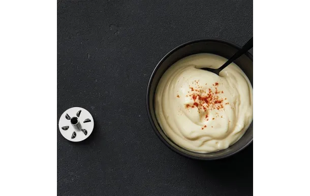 BAMIX DISQUE MELANGEUR MIXEUR BAMIX MX3000003