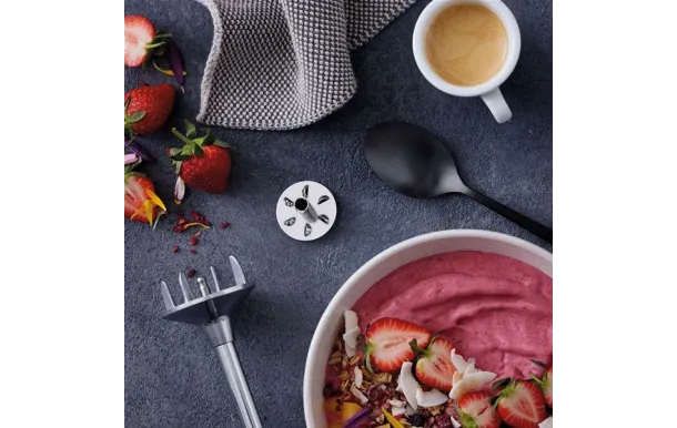 BAMIX DISQUE MELANGEUR MIXEUR BAMIX MX3000003