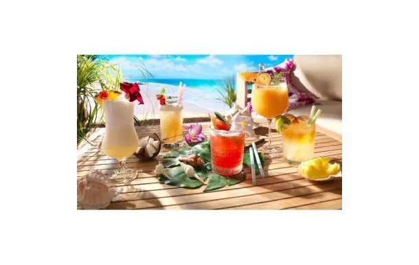 BORMIOLI BEER CLUB ALE VERRE A BIERE 50CL SET4 330245G10321990