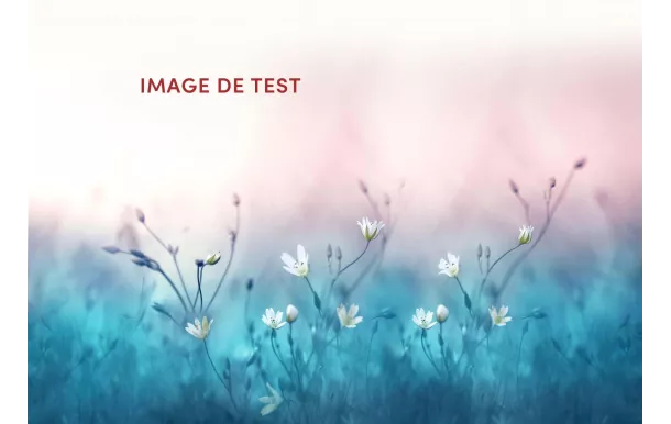 BOSCH Four multifonction pyrolyse noir - HBA574BB3F moins cher